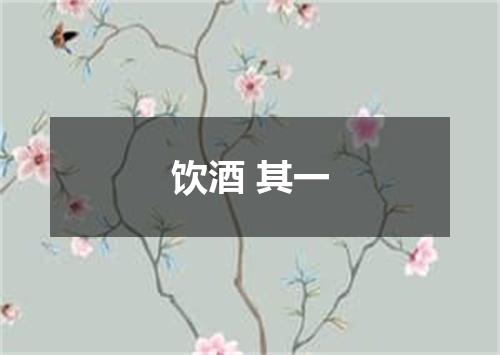 饮酒 其一