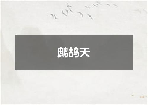 鹧鸪天