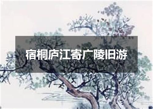宿桐庐江寄广陵旧游