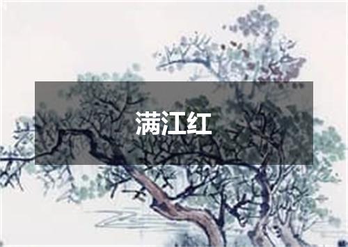 满江红