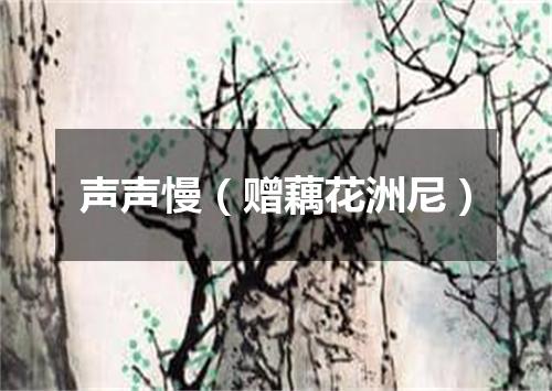 声声慢（赠藕花洲尼）