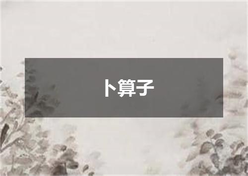 卜算子