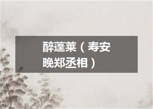 醉蓬莱（寿安晚郑丞相）