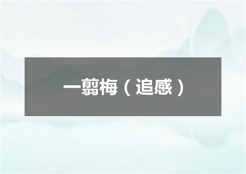一翦梅（追感）