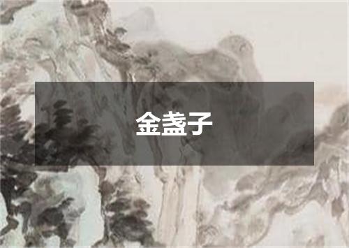 金盏子