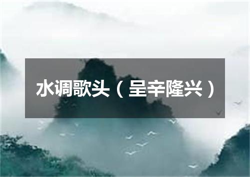 水调歌头（呈辛隆兴）