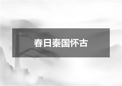 春日秦国怀古