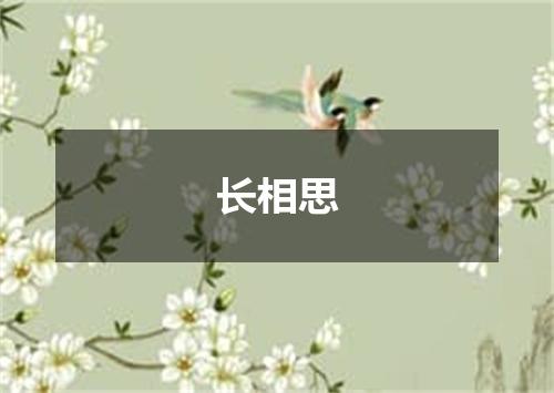 长相思