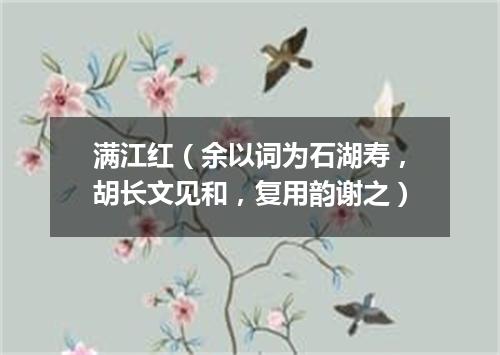 满江红（余以词为石湖寿，胡长文见和，复用韵谢之）