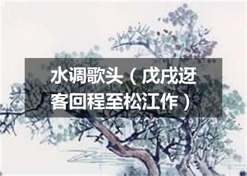 水调歌头（戊戌迓客回程至松江作）
