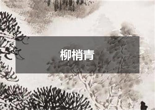 柳梢青