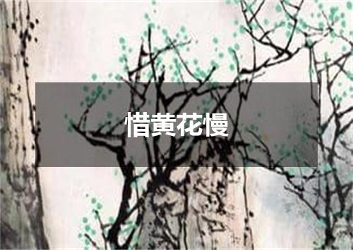 惜黄花慢
