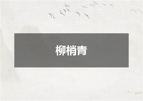 柳梢青