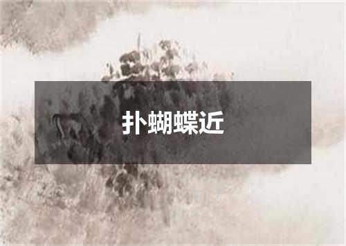 扑蝴蝶近