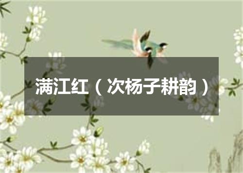 满江红（次杨子耕韵）
