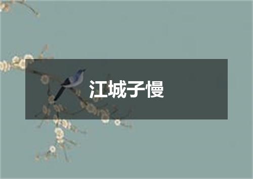 江城子慢