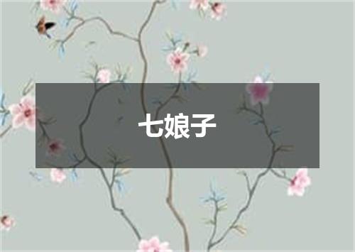七娘子