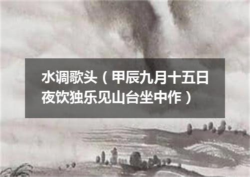 水调歌头（甲辰九月十五日夜饮独乐见山台坐中作）