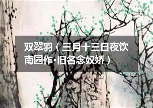 双翠羽（三月十三日夜饮南园作·旧名念奴娇）