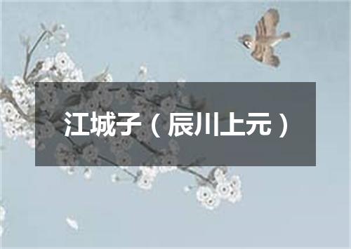 江城子（辰川上元）