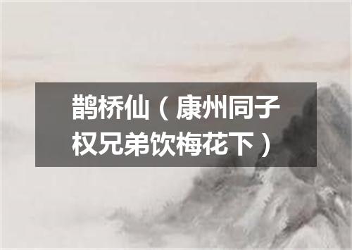 鹊桥仙（康州同子权兄弟饮梅花下）