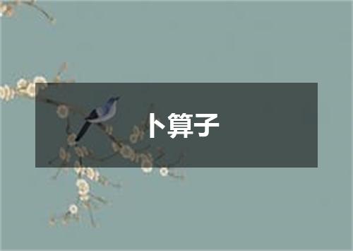 卜算子