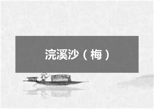 浣溪沙（梅）