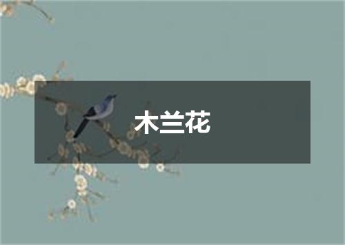 木兰花