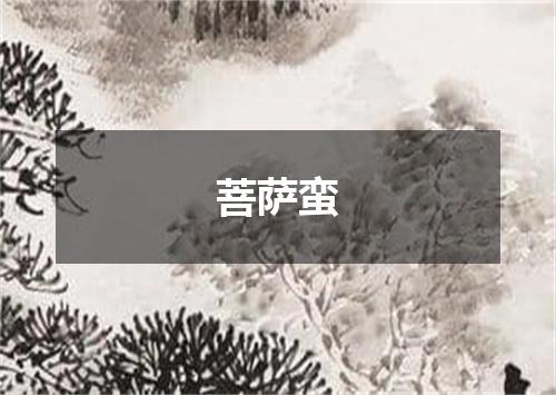 菩萨蛮