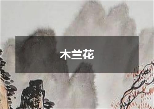 木兰花