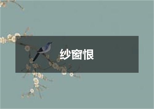 纱窗恨