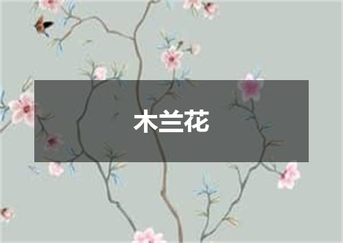 木兰花