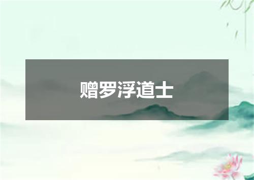 赠罗浮道士