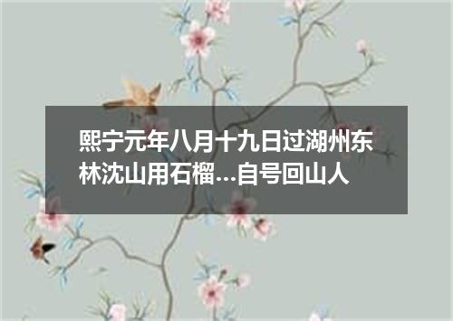 熙宁元年八月十九日过湖州东林沈山用石榴…自号回山人