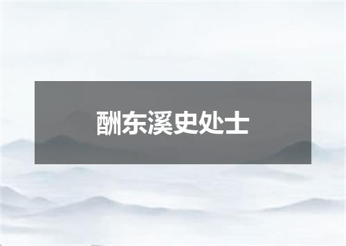 酬东溪史处士