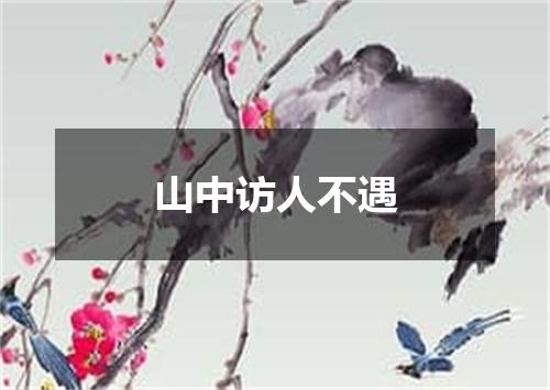 山中访人不遇