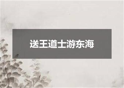 送王道士游东海