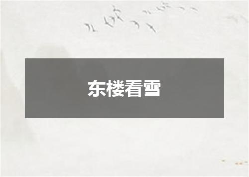 东楼看雪