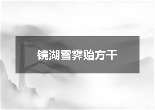 镜湖雪霁贻方干