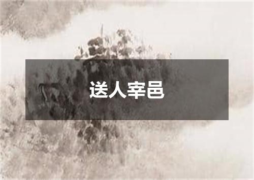 送人宰邑