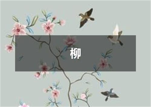 柳