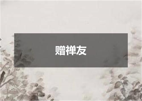 赠禅友