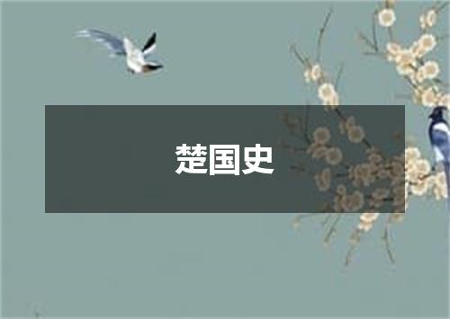楚国史