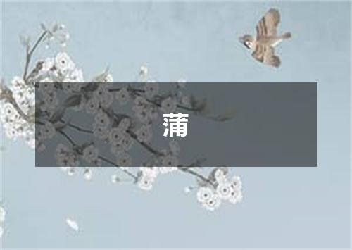 蒲