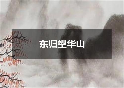 东归望华山