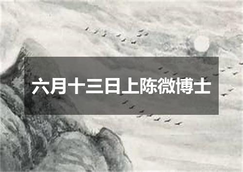 六月十三日上陈微博士