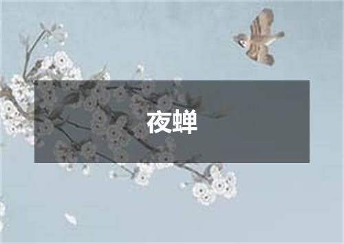 夜蝉