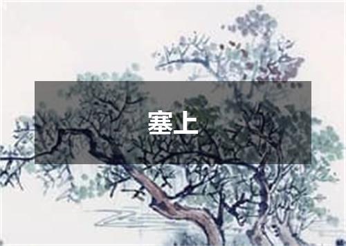 塞上