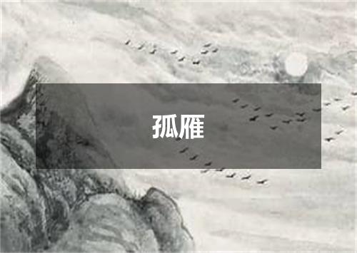 孤雁