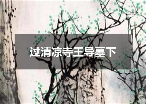 过清凉寺王导墓下
